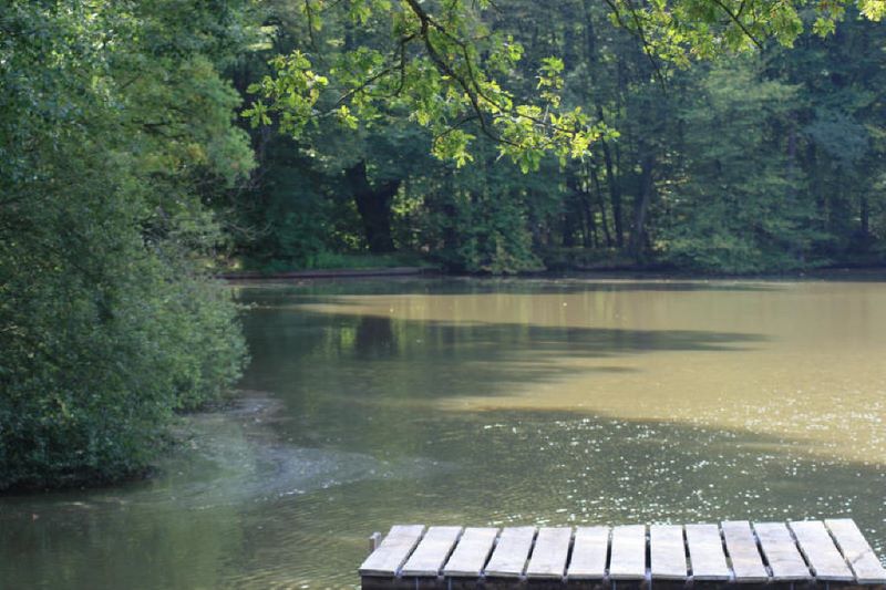 Der Hubbacherweiher